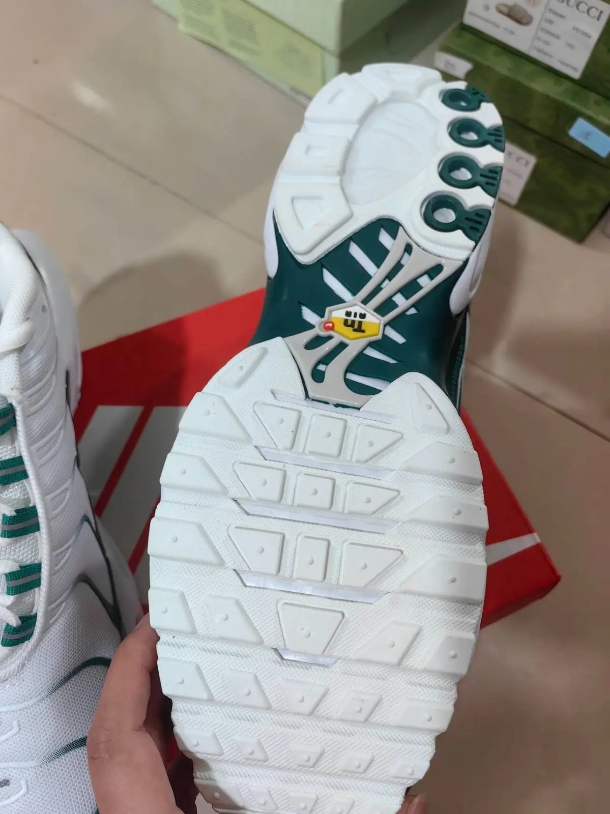 Nike TN Lacoste Elephand.shoes