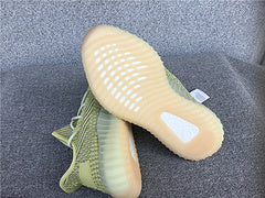 Yeezy 350 Antlia