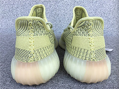 Yeezy 350 Antlia