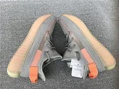 Yeezy350 V2 True Form Elephand.shoes