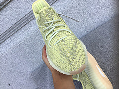 Yeezy 350 Antlia