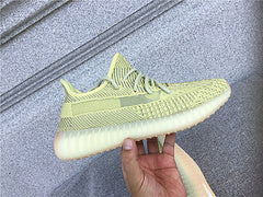 Yeezy 350 Antlia