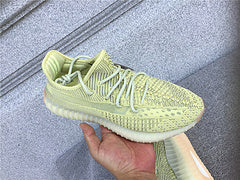 Yeezy 350 Antlia