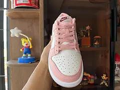 Nike SB Dunk Low Aged Navy Elephand.shoes