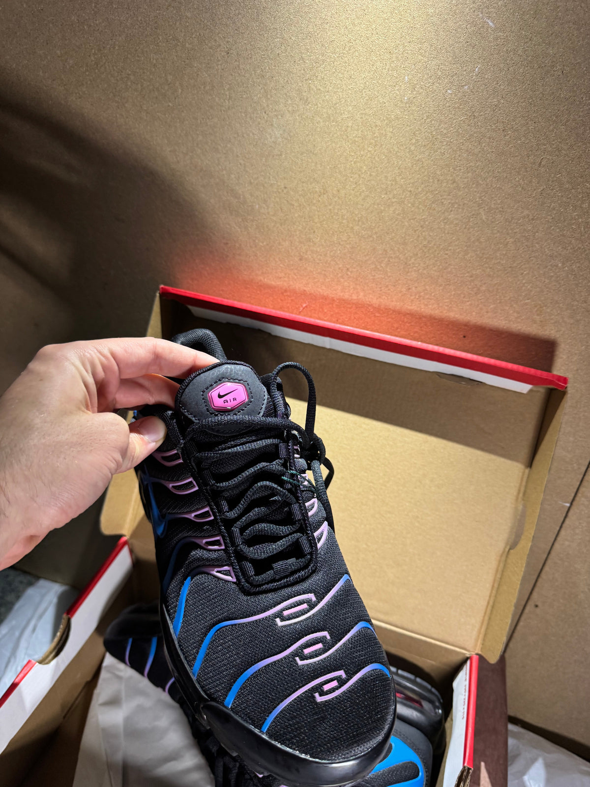 TN Black Purple Blue (Odmah dostupne) br 41 43 Elephand.shoes
