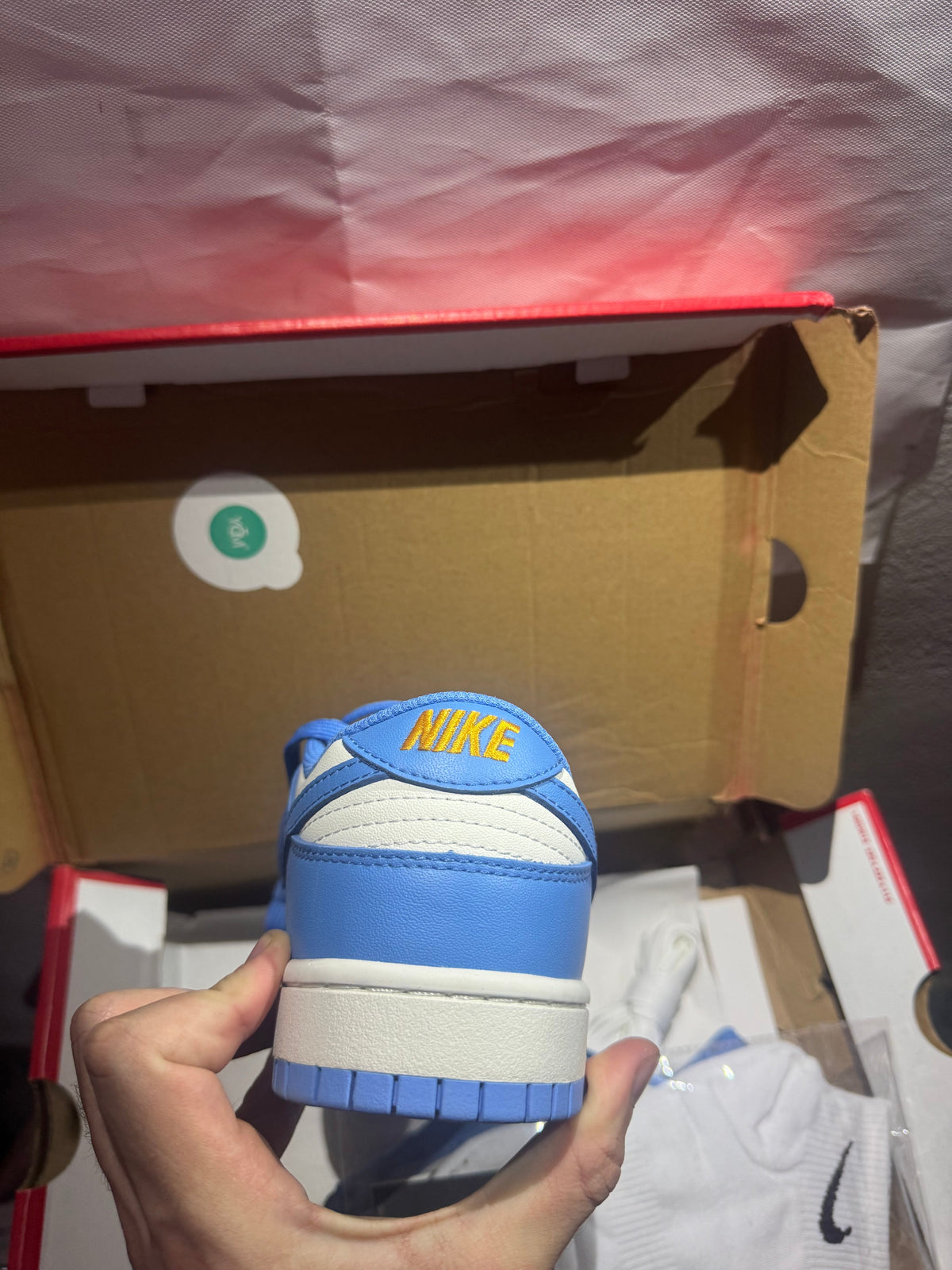 Dunk Blue (Odmah dostupne) br 43 Elephand.shoes