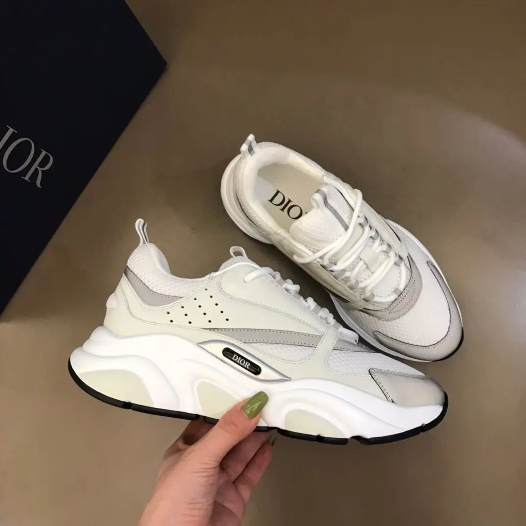 Dior B22 White Elephand.shoes