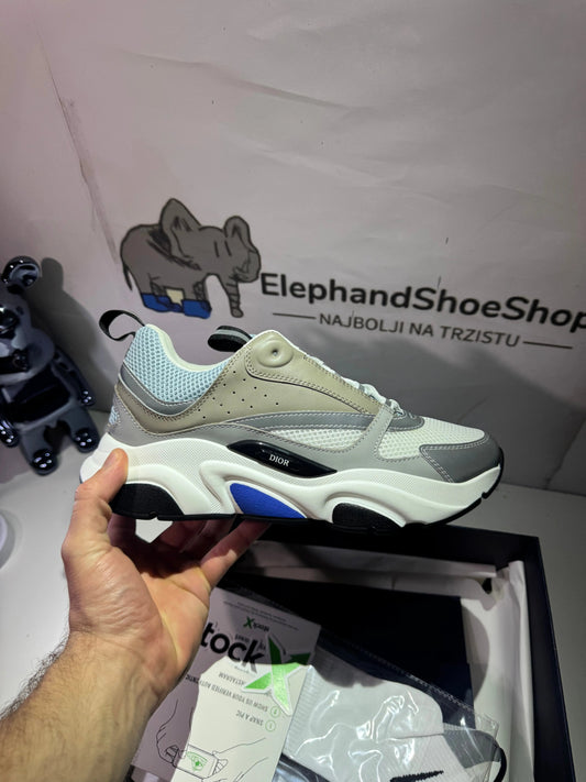 Dior B22 (Odmah Dostupne) br 44 Elephand.shoes