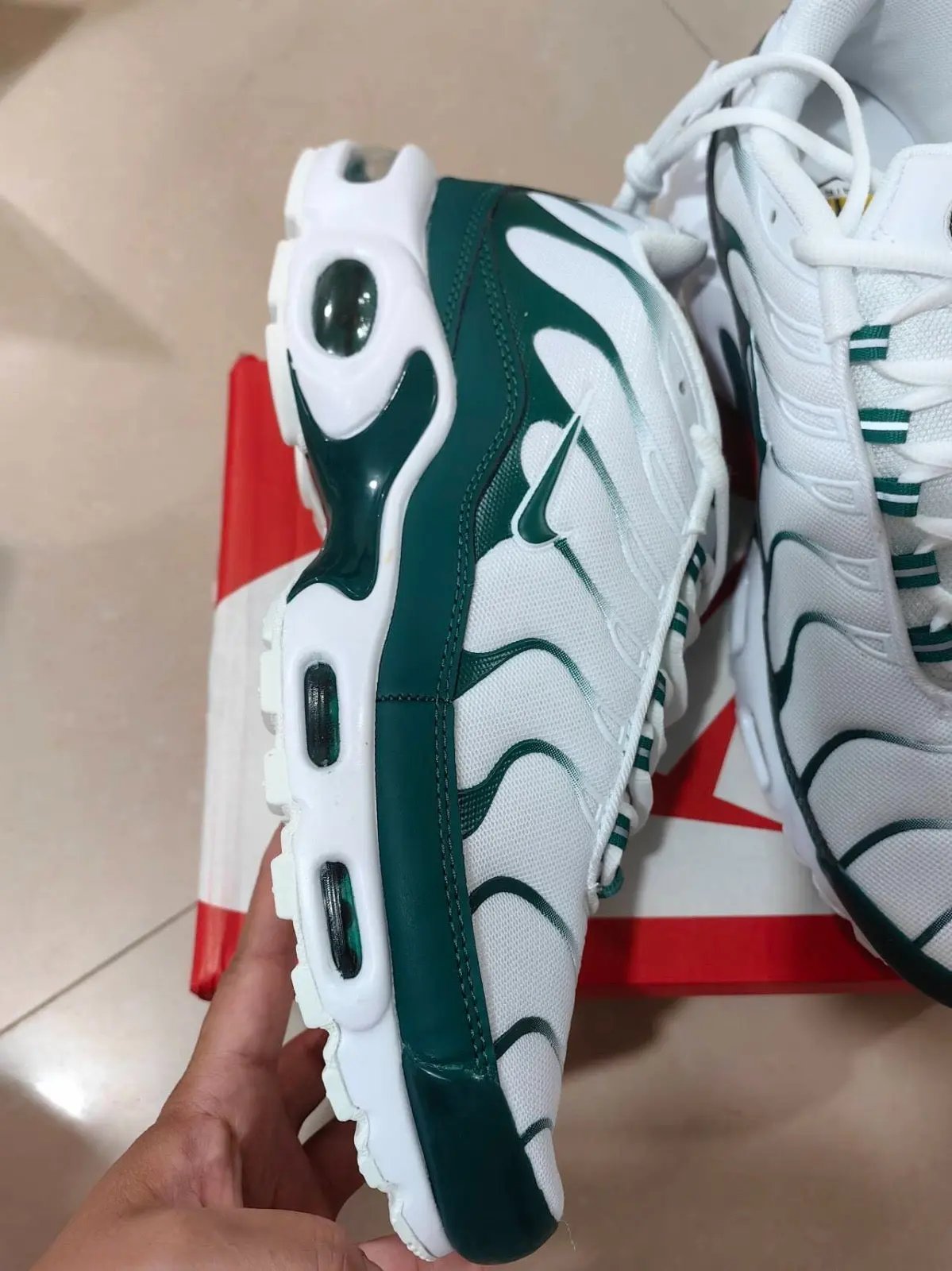 Nike TN Lacoste Elephand.shoes