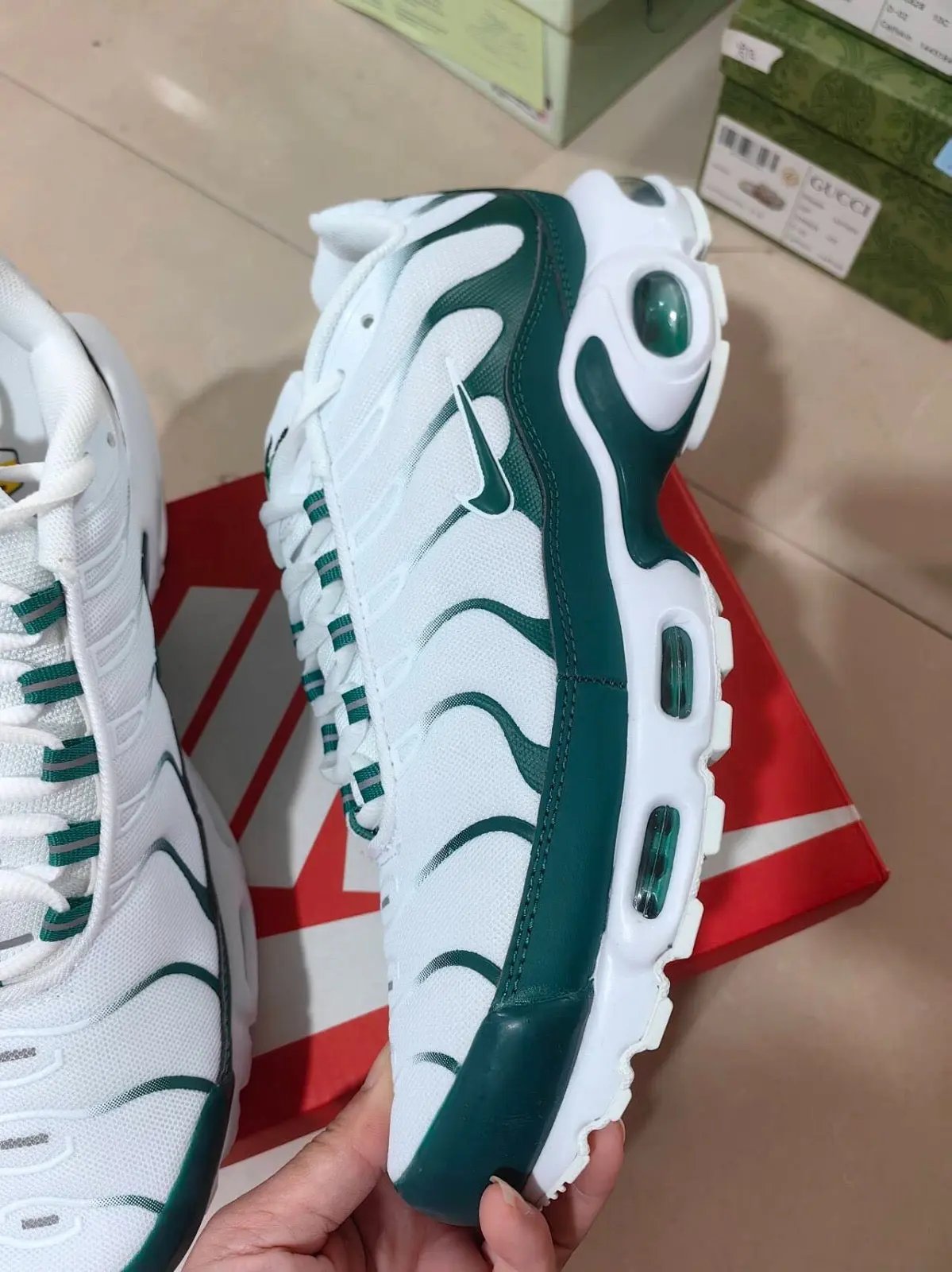Nike TN Lacoste Elephand.shoes