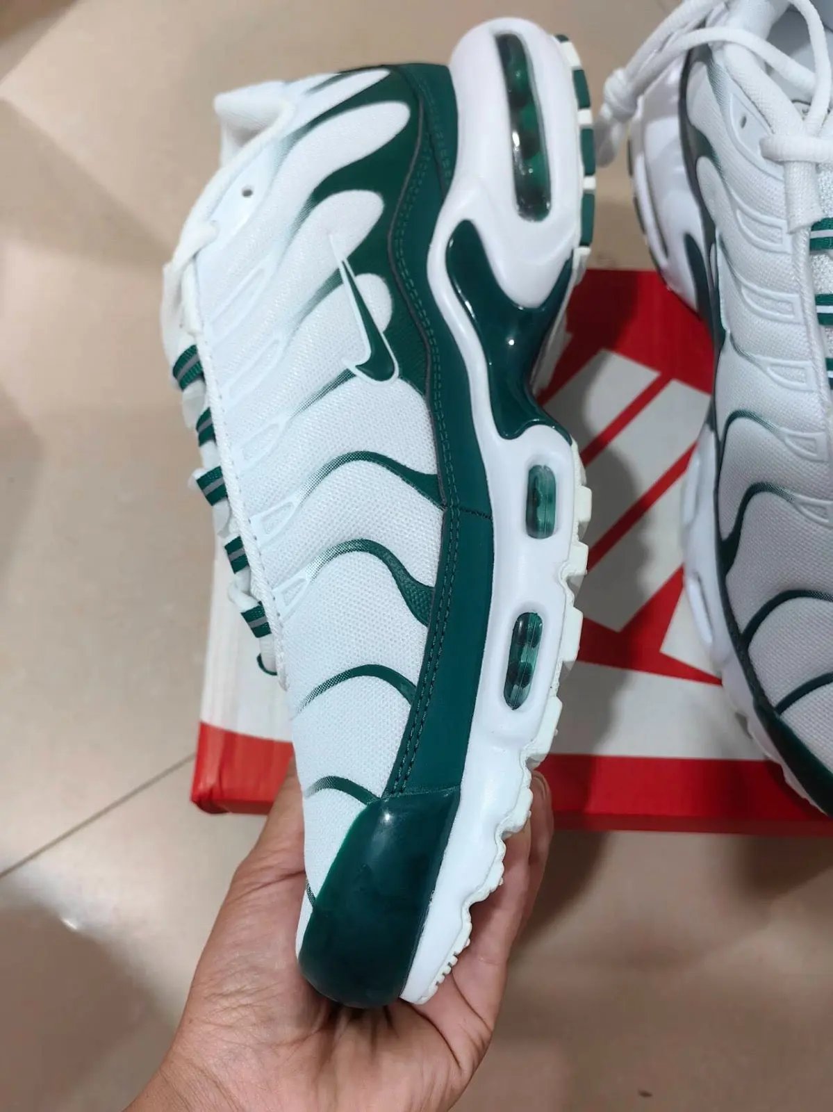 Nike TN Lacoste Elephand.shoes