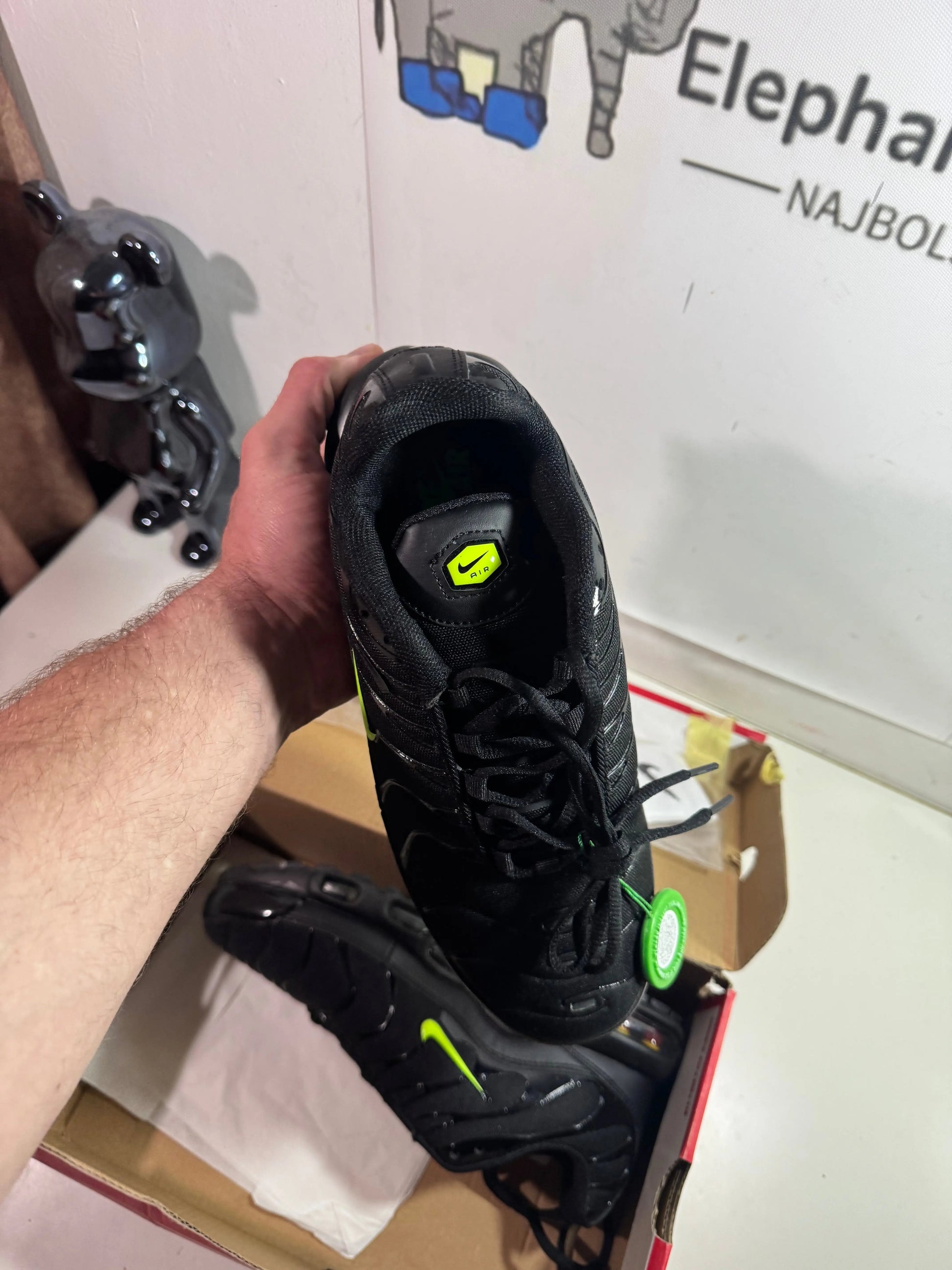 Nike Tn Black/Green (Odmah dostupne) br 46 Elephand.shoes