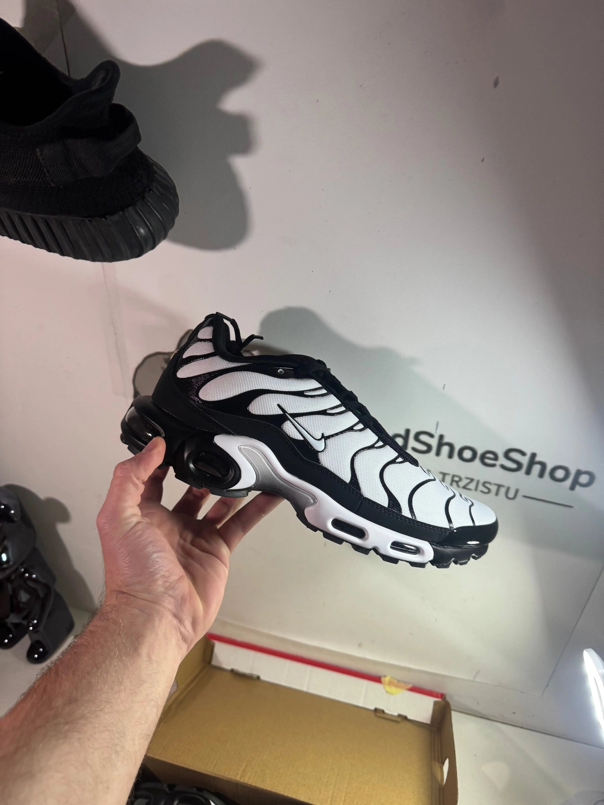 Nike Tn White/Black (Odmah dostupne) br 42 Elephand.shoes