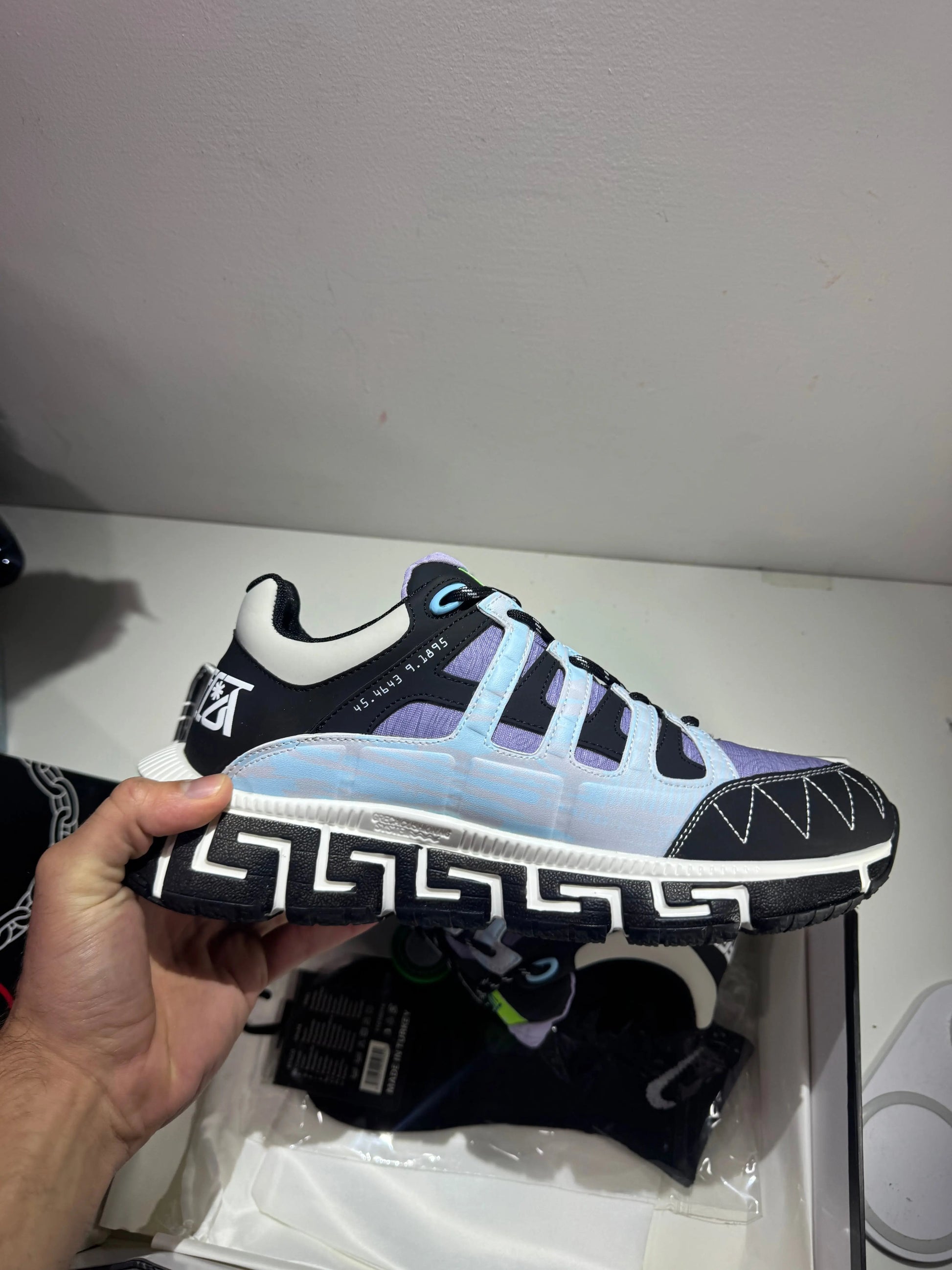 Versace Sneakers Purple (Odmah dostupne) br 46 Elephand.shoes