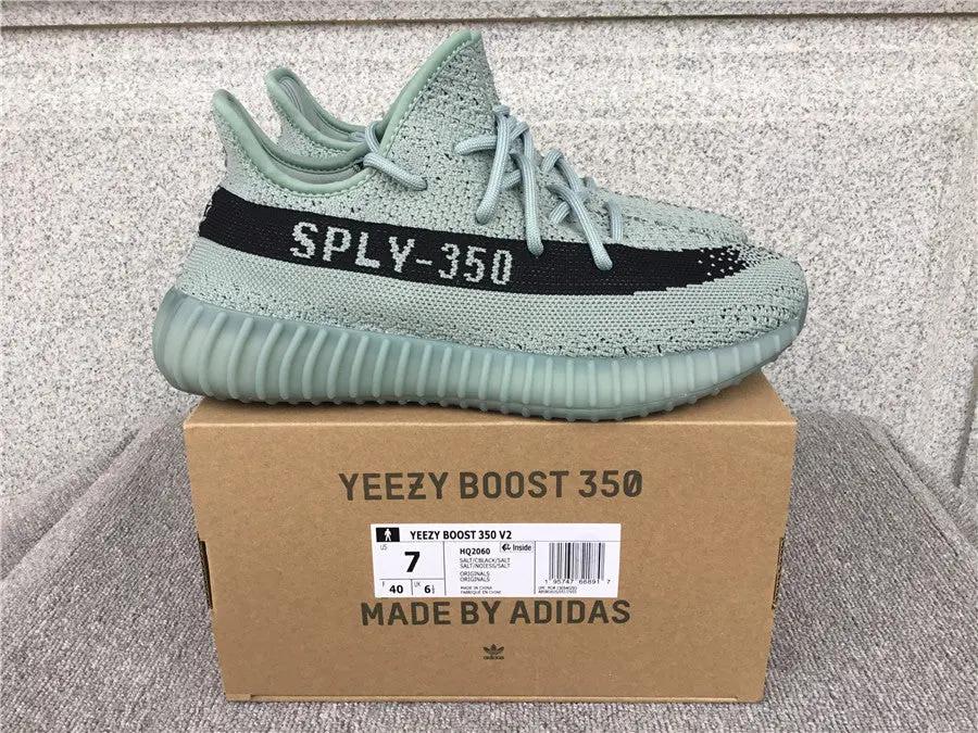 Yeezy Boost 350 v2 Salted Elephand.shoes