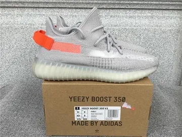 Yeezy Tail Light
